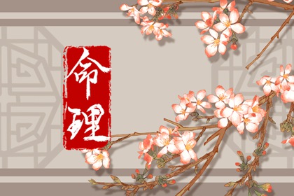 紫微详解命格 命盘排盘免费 紫微日历黄道吉日 双人紫微合盘详解 命盘推理